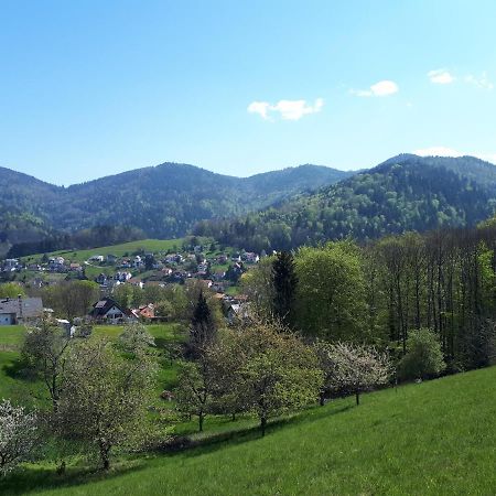 Ferienwohnung Schwarzwaldblick Bühlertal エクステリア 写真