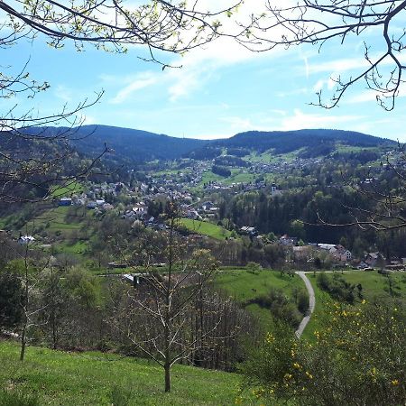 Ferienwohnung Schwarzwaldblick Bühlertal エクステリア 写真