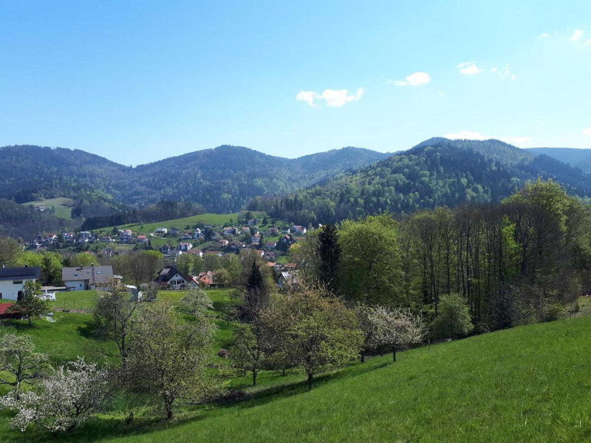 Ferienwohnung Schwarzwaldblick Bühlertal エクステリア 写真