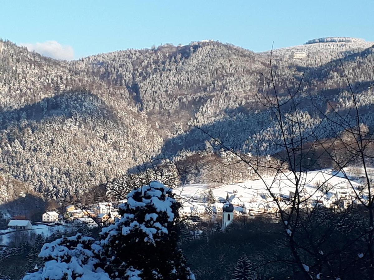 Ferienwohnung Schwarzwaldblick Bühlertal エクステリア 写真