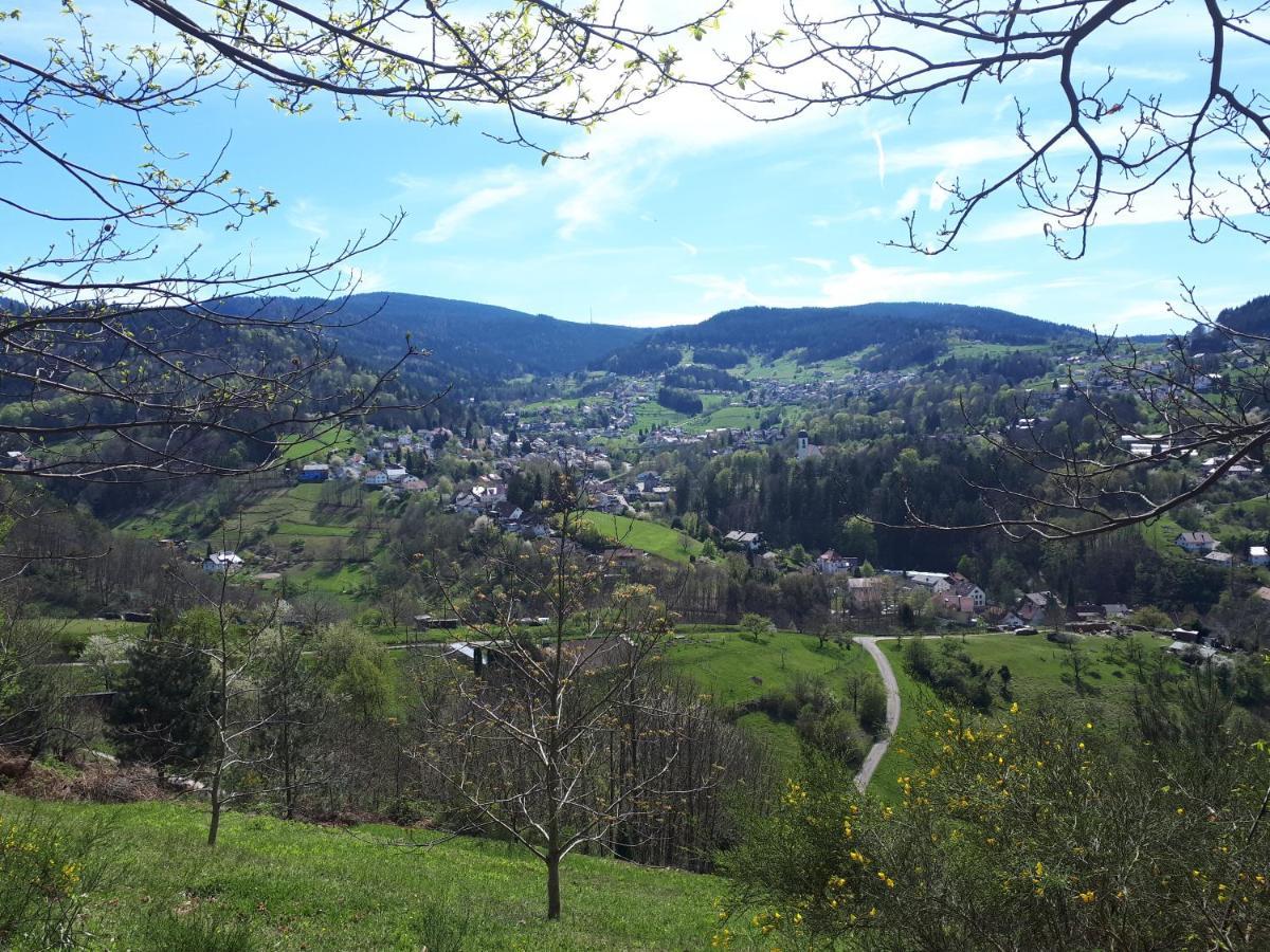 Ferienwohnung Schwarzwaldblick Bühlertal エクステリア 写真